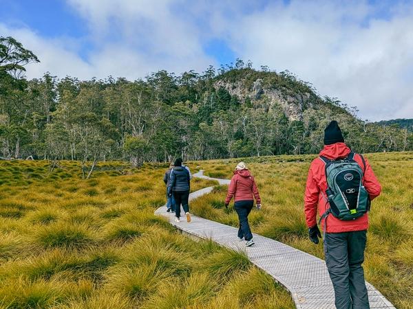 Walkers on the Overland Track