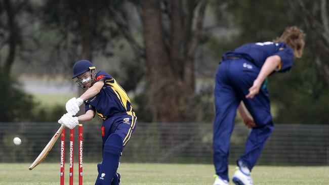 The Central Coast put on a batting masterclass. Picture: John Appleyard