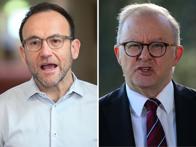 Adam bandt and anthony albanese