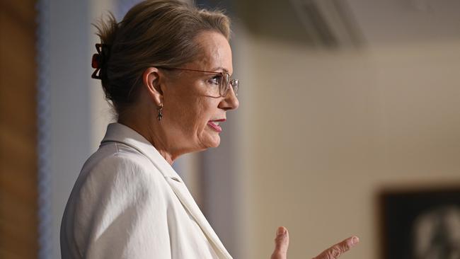 Ms Ley wanted a ‘nothing adopted and nothing abandoned’ approach to the Coalition’s policies after the federal election. Picture: NewsWire / Martin Ollman