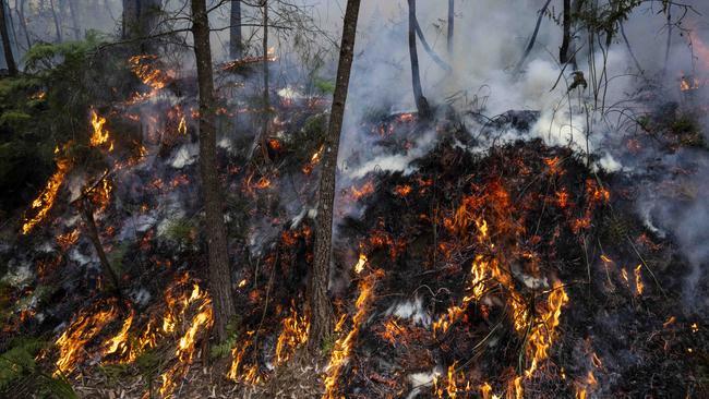 Australians should brace themselves for fires throughout summer. Picture: NewsWire / Monique Harmer