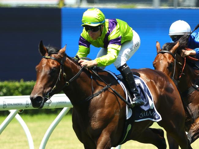 SYDNEY, AUSTRALIA - DECEMBER 21: Tommy Berry riding Pallaton wins Race 1 Shinzo @ Coolmore Plate during Sydney Racing at Royal Randwick Racecourse on December 21, 2024 in Sydney, Australia. (Photo by Jeremy Ng/Getty Images)