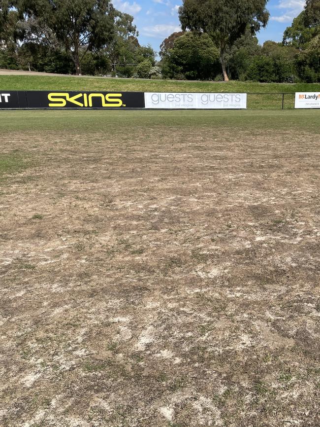 Eastern side of Elsternwick Park on November 9.