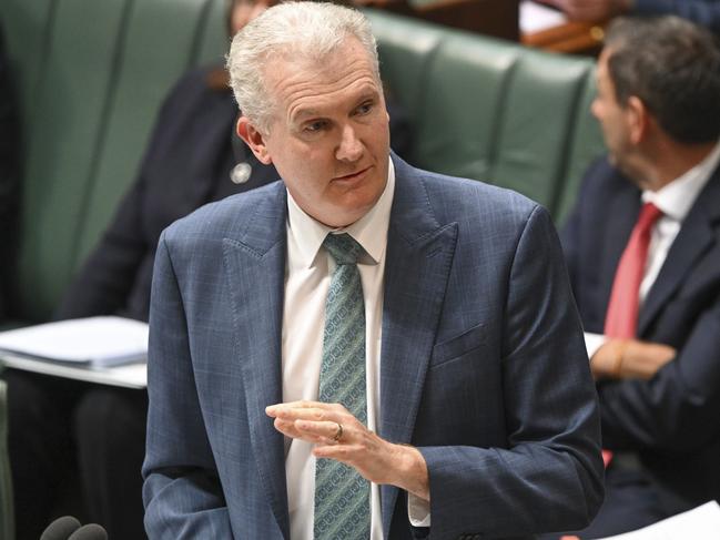 Leader of the House Tony Burke. Picture: NCA NewsWire/Martin Ollman