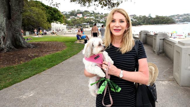 Dog illegally on Balmoral Beach Mosman kills wild rabbit in front of ...