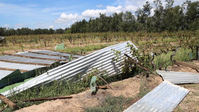 Pictured is the Keith Tulloch winery at Cessnock which yesterday was severely damaged by a tornado. Photo courtesy of www.emmajanepitschphotography.com.au
