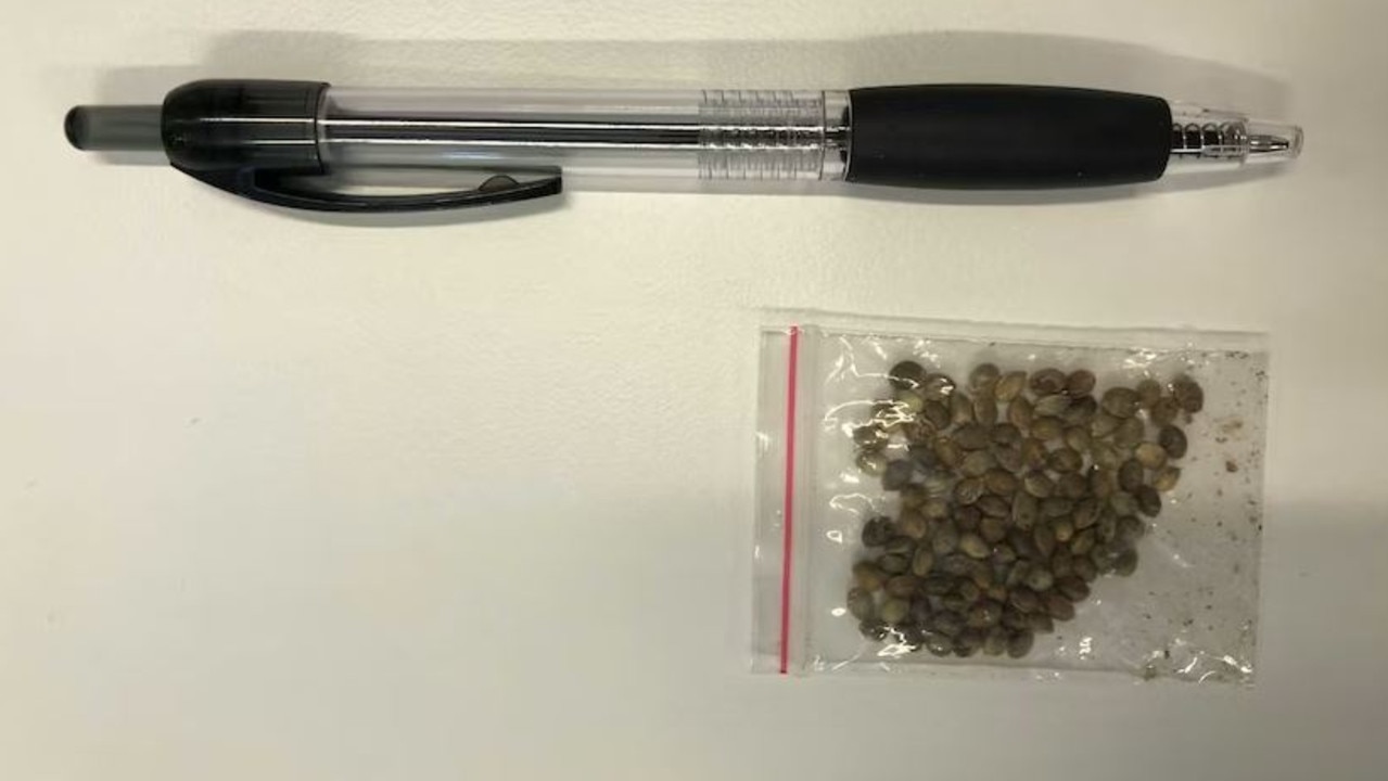 During Covid, dozens of Aussies received mysterious packages from Asia containing small baggies of unknown seeds, sparking a biosecurity scare.