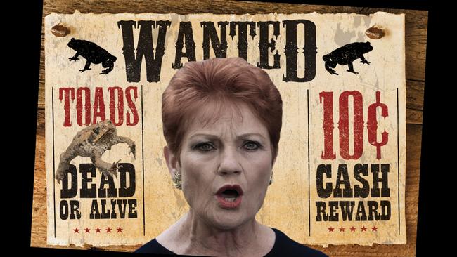 Pauline Hanson has called for a three-month collect-a-toad campaign which includes a bounty on the vermin.