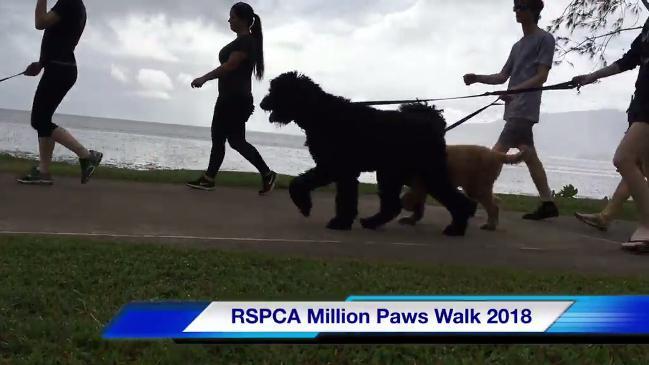 2018 RSPCA Million Paws Walk at the Cairns Esplanade.  