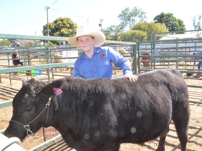 Columba Catholic College's Nash Wilton brushes down one of the young steers from Coolindowns Lowline Cattle at the Charters Towers Show. Picture: Trudy Brown