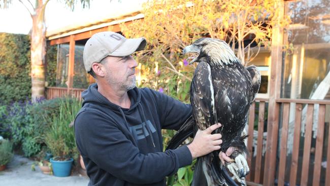 Adam Hardy of Raptor Care North West and a wedge tailed eagle with suspected poisoning. Picture: Elise Kaine