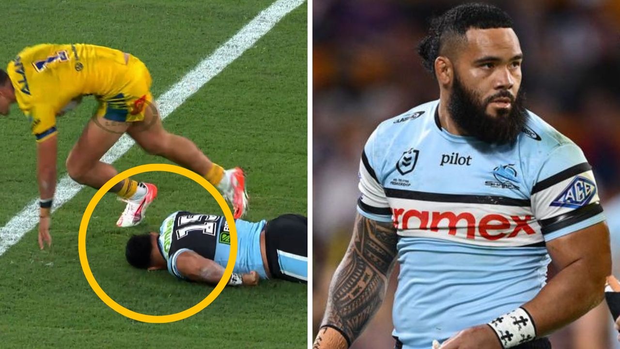 Shark suffers two minutes of NRL hell