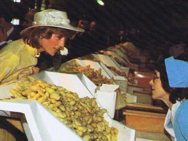 Princess Diana at the nearby Buderim Ginger Factory on the day she visited the Big Pineapple in 1983