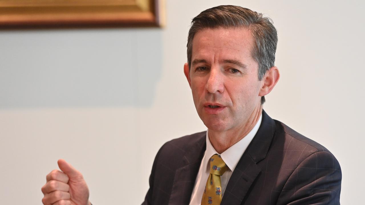 Simon Birmingham has not ruled out a split. Picture: Keryn Stevens