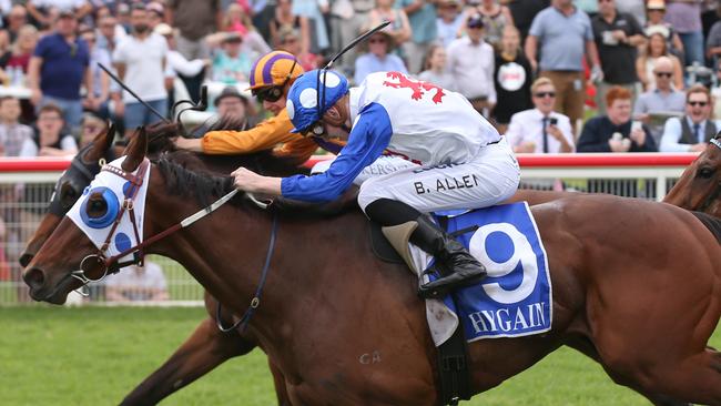 Mr Quickie (nearest) salutes on Pakenham Cup Race Day. Picture: AAP