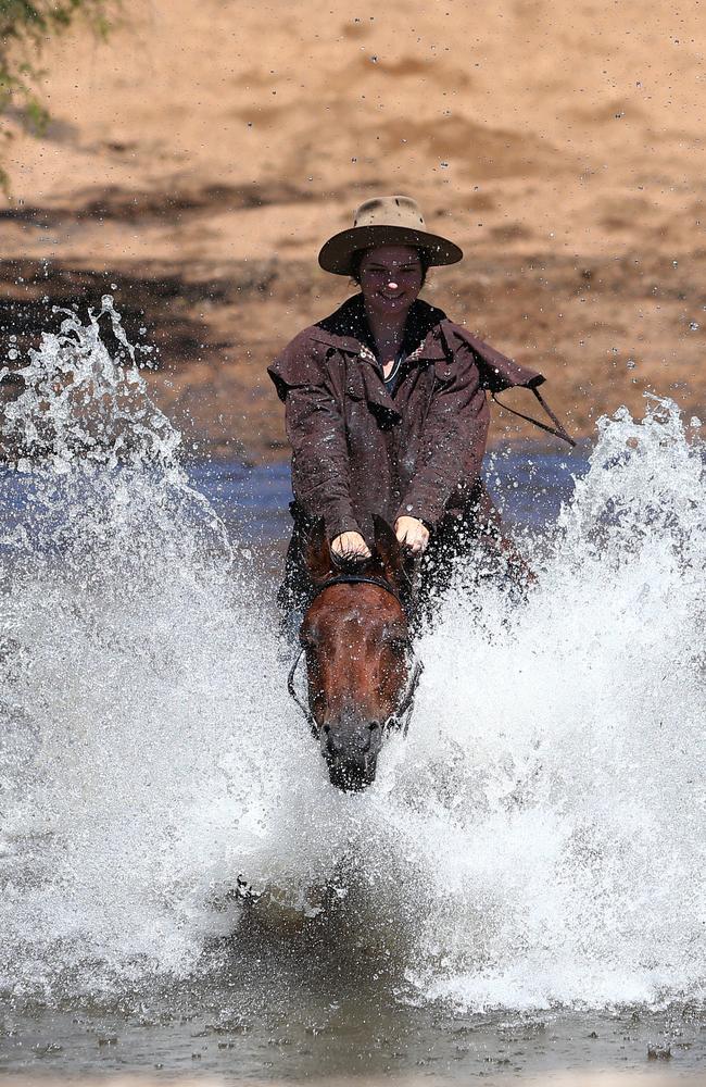 Some isolated showers gave some farmers a break as they took 230 horses for a fresh green feed. Picture: Peter Lorimer