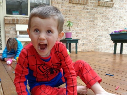 William Tyrrell went missing from his foster grandmother’s home in Kendall, NSW. Picture: Supplied