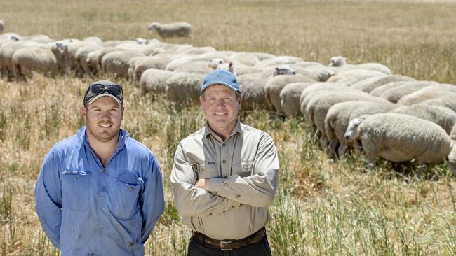 Scott Howell and son Daniel with their Primeline flock at Amphitheatre. Picture: Zoe Phillips