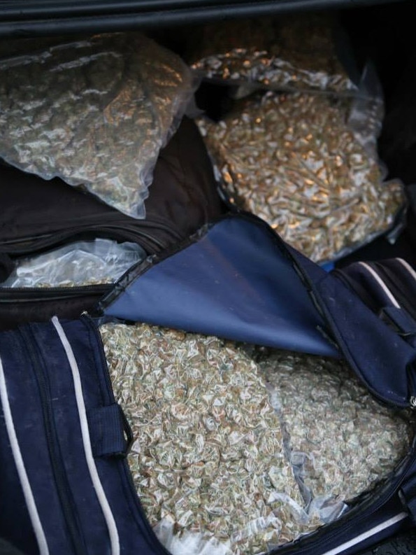 Some of the 45kg of cannabis seized by NSW Police after a plane landed at Deniliquin airfield.