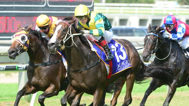 Care To Think won the $1 million Magic Millions Cup. Picture: Grant Peters, Trackside Photography.