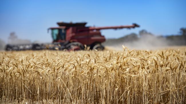 The strong grain season is a factor that will potentially drive farm management deposit levels up this financial year. Picture: Zoe Phillips