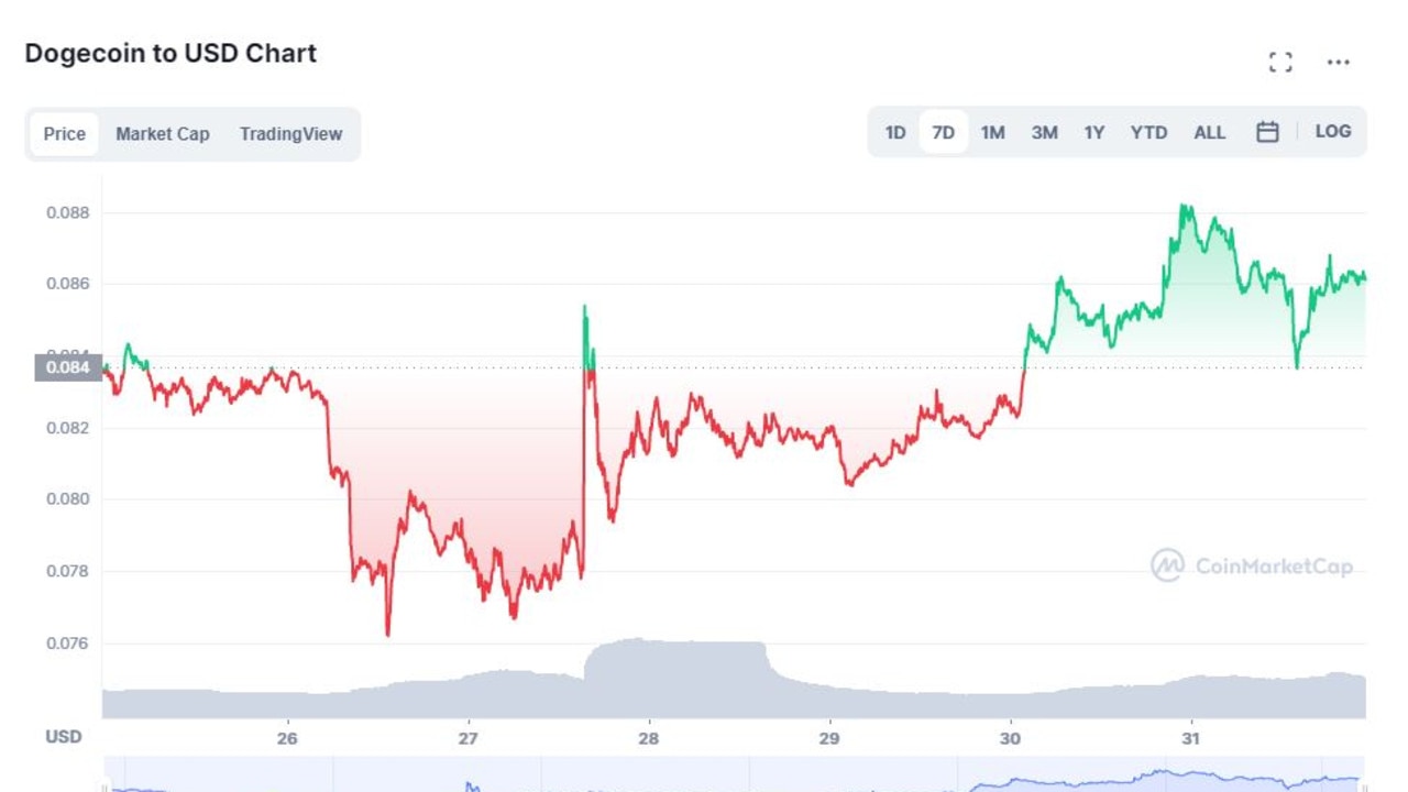 Elon Musk disputes Dogecoin creator claim he can't run Python code