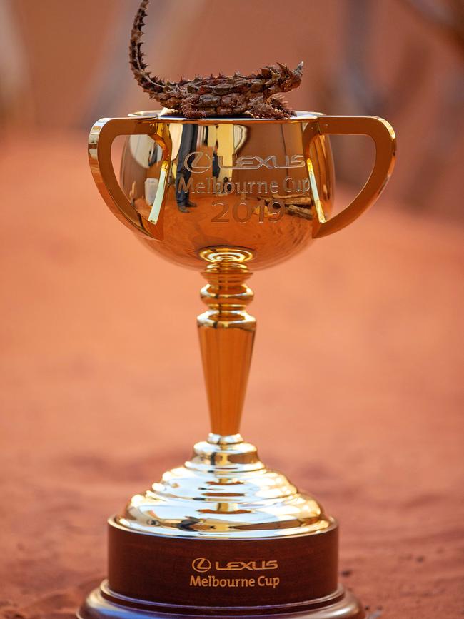 A thorny devil gets acquainted with the Cup. Picture: Mark Stewart