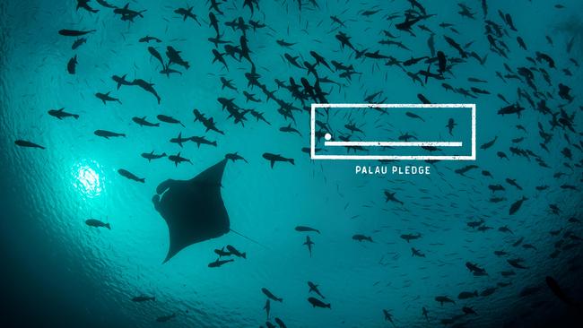 The Palau Pledge was launched in conjunction with a change to the pacific island’s immigration policy