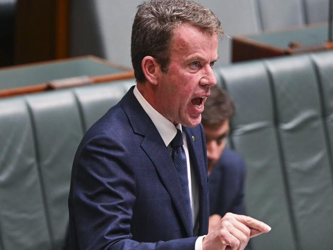 Opposition immigration spokesman Dan Tehan. Picture: NCA NewsWire/Martin Ollman