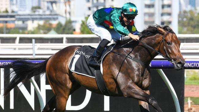 Jockey Ryan Maloney rides Alligator Blood to victory.