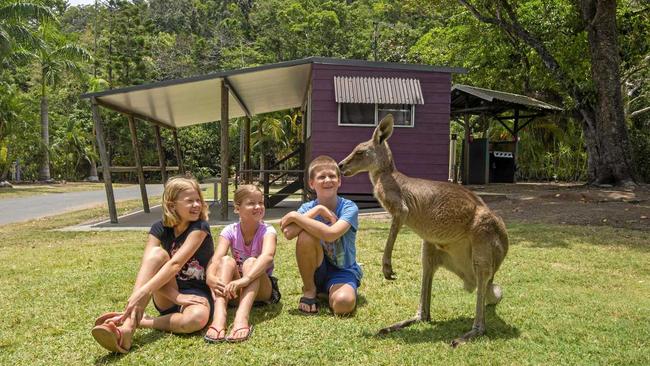 Cape Hillsborough Nature Tourist Park. Picture: Daryl Wright