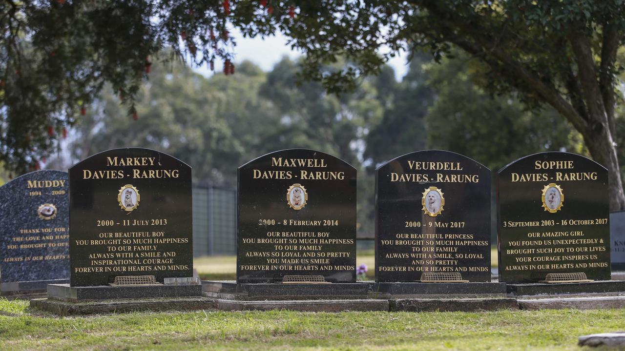 There are ‘family plots’ where owners bury their beloved pets over a period of many years. Picture: Justin Lloyd.