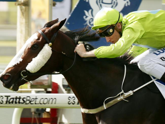 Doomben Cup Day. Race 3 won by Tales of Fashion ridden by Blake Shinn. Pic Mark Calleja