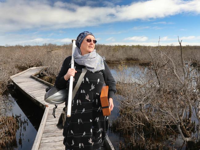 Salt threat to mangroves rising after rain