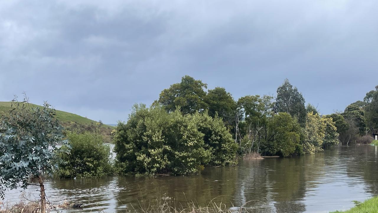 The Derwent River broke its banks along the Lyell Highway outside of New Norfolk. Picture: Genevieve Holding