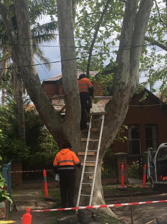 The 30-year-old treehouse was torn down by council contractors without warning.