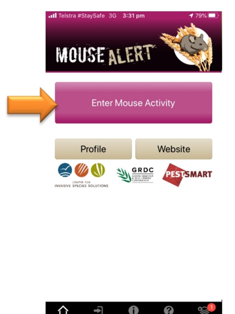 Step 2 on the enter mouse activity function. Picture: Supplied