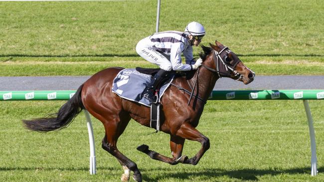Extra Time won for Leon Macdonald. Picture: Atkins Photography.