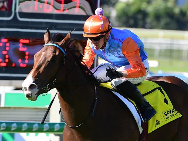 Prince Of Boom, ridden by Ben Thompson, wins the Spirit Of Boom Classic at Doomben on May 15, 2021. Picture: Grant Peters/Trackside Photography