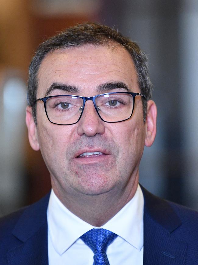 South Australian Premier Steven Marshall. Picture: AAP Image/David Mariuz