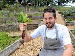 Spicers Hidden Vale Homage restaurant head chef Ash Martin. Picture: Rob Williams