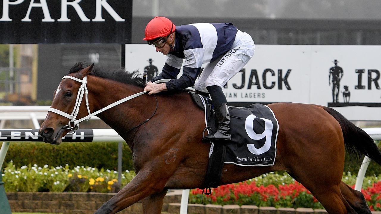 Irish Angel can win first-up. Picture: AAP