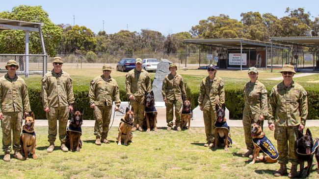 At the Canine Service Medal Award ceremony for military working dogs, held at RAAF Base Pearce, Western Australia, are, from left, MWD Gilda with Corporal Xavier Koumos, MWD Loki with Corporal Owen Cooper, MWD OJ with Corporal Kristafa Erceg, MWD Ozcar with Leading Aircraftsman James Rayner, MWD Xeren with Leading Aircraftswoman Tamara Thomas, MWD Dagger with Leading Aircraftswoman Heidi Keane, MWD Onyx with Corporal Jessica Holmes and MWD Walt with Leading Aircraftsman Lachlan Edwards. Picture: Defence