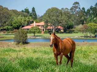 Saddle up for prime property