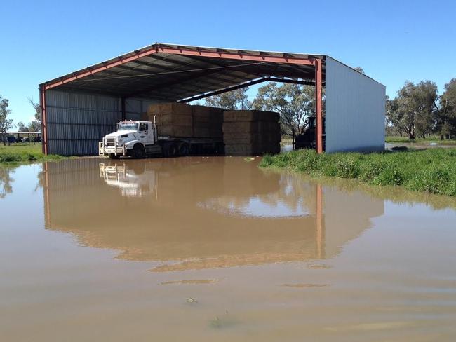 A heavily flooded building usually used as an aircraft hangar between West Wyalong and Forbes. Picture: Wayne Perich