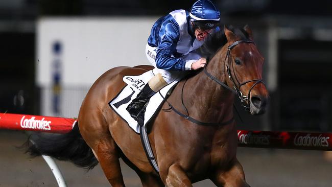 Jockey Joe Bowditch urges Viddora home in the Moir Stakes.