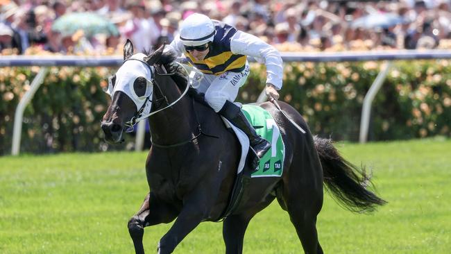 Warmonger will aim to bounce back in the Group 1 South Australian Derby on Saturday. Picture: George Sal/Racing Photos