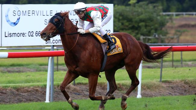 Kirk Matheson rode Tumut River for Lismore trainer Daniel Bowen at Grafton today. Photo File.