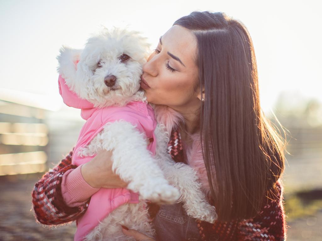 should a puppy wear a coat