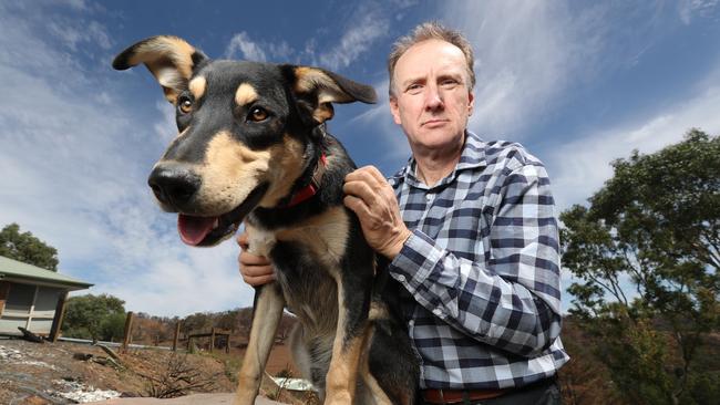 John Hammersmith was forced to find Scout a new home after his property burned to the ground during the Cudlee Creek bushfires. Picture: Tait Schmaal